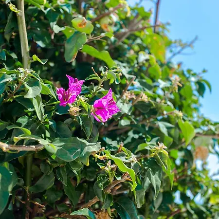 וילה Vista Anders Mar לאגוּ‏ש
