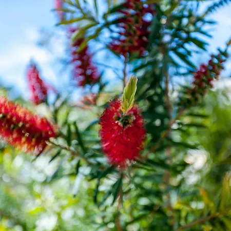 Vista Anders Mar ヴィラ *