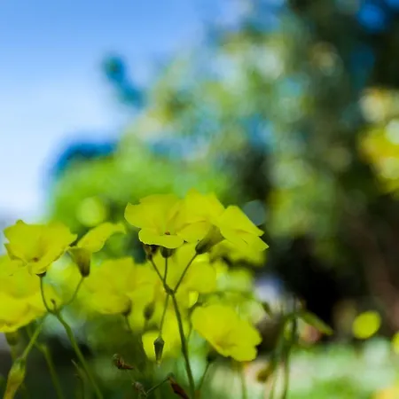 Vista Anders Mar Villa Lagos