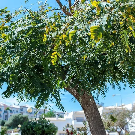 Vista Anders Mar Villa Lagos